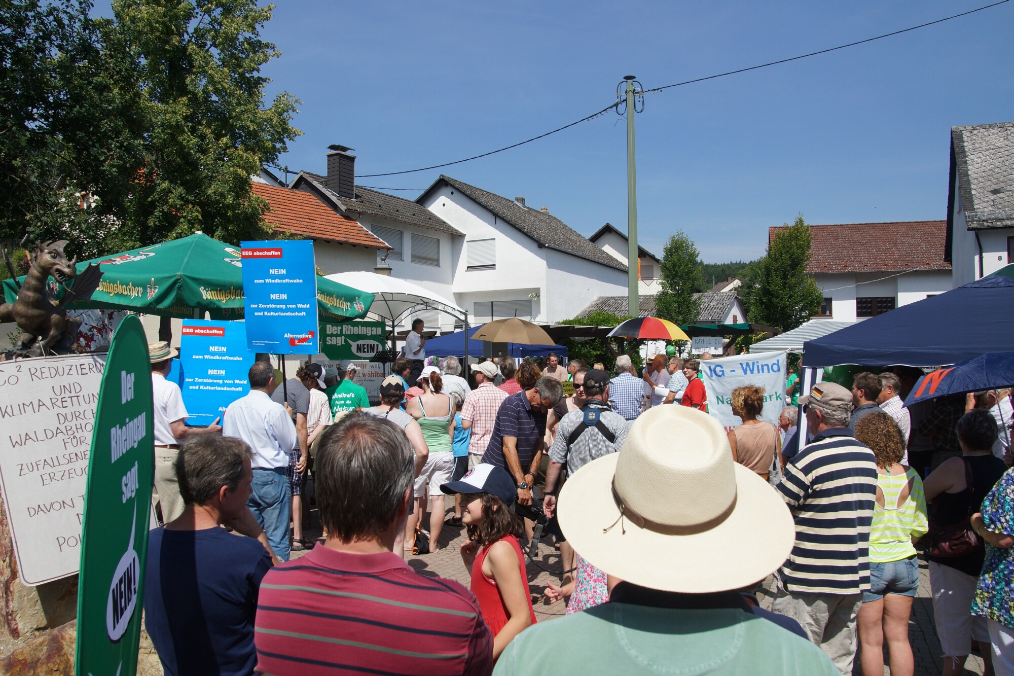 Stephanshausen DEMO Windwahn-20140719DSC08218.jpg